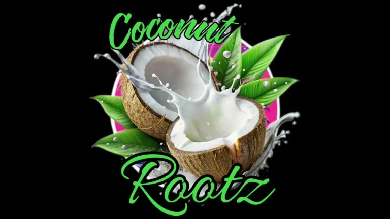 Coconut Rootz - Coming Home To You