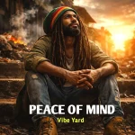 Vibe Yard - Peace of Mind