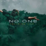 Solpulse - No One Tells Me How